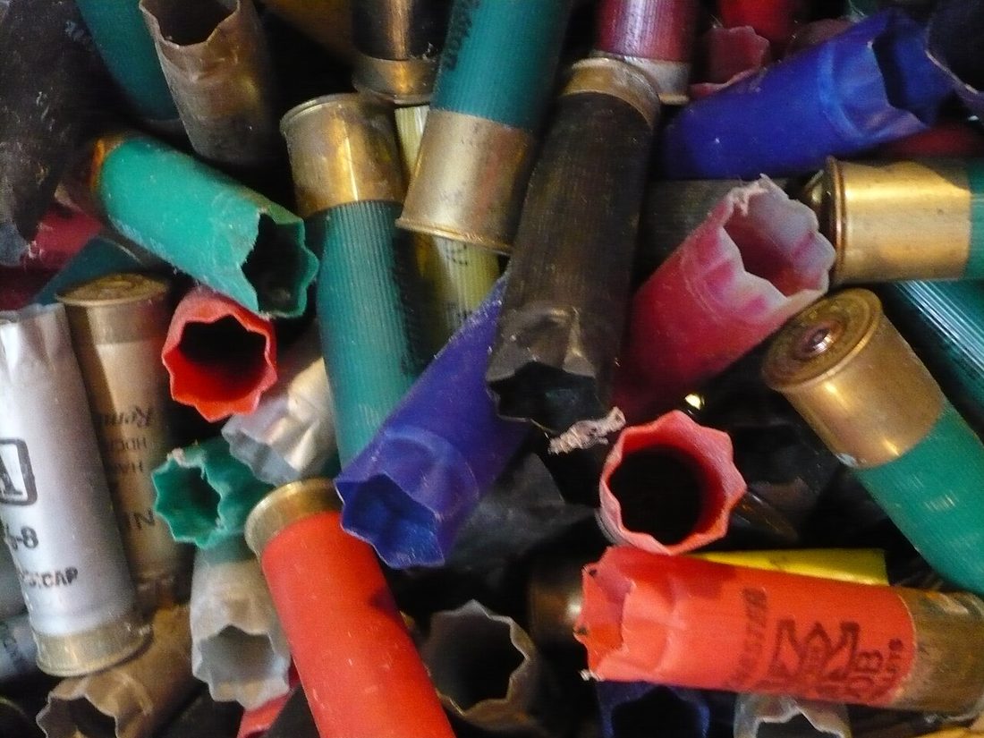 Shotgun Shells Ferndale CA.JPG