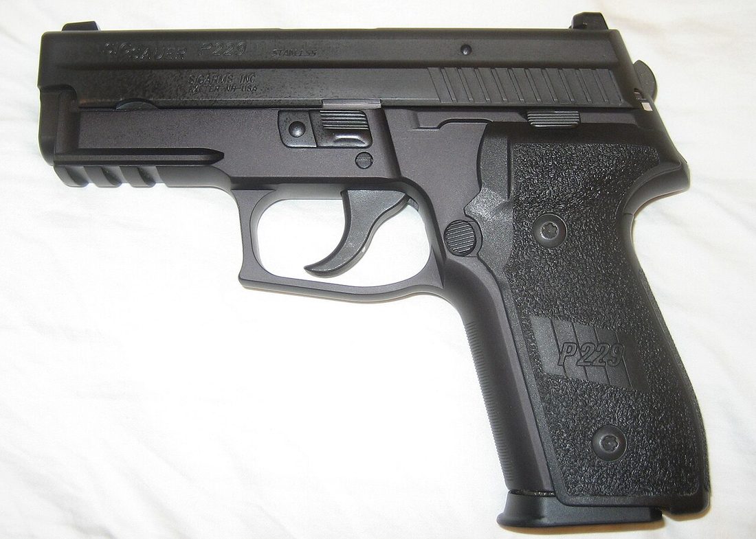P229 DAK w. acc rail.jpg